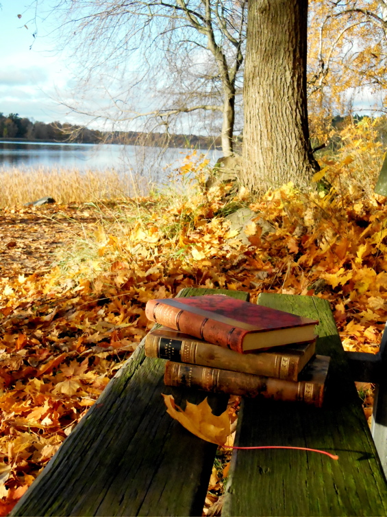 Late-autumn reading list – Erin Zaleski